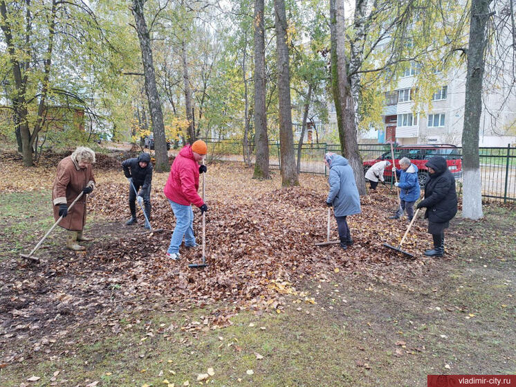 Во Владимире прошел общегородской субботник