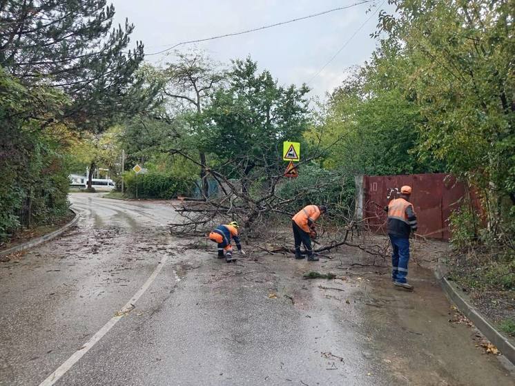 В Севастополе устраняют последствия непогоды