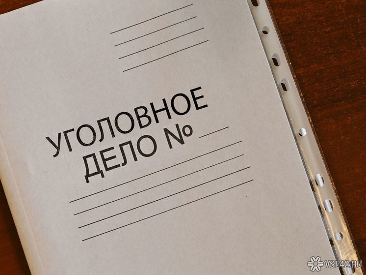 Глава СКР заинтересовался делом об избиении подростка тренером по футболу в Кузбассе