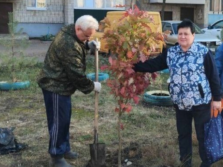 Жители тамбовского поселка Строитель навели в своих дворах порядок