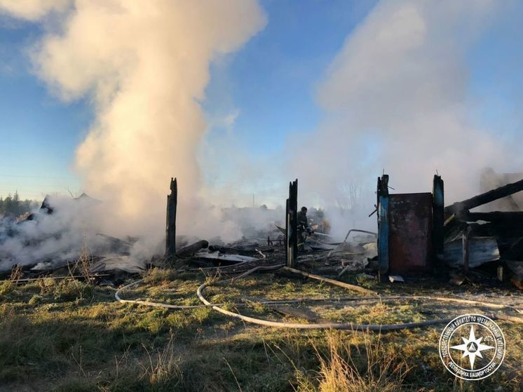 В ночном пожаре в Башкирии погиб инвалид