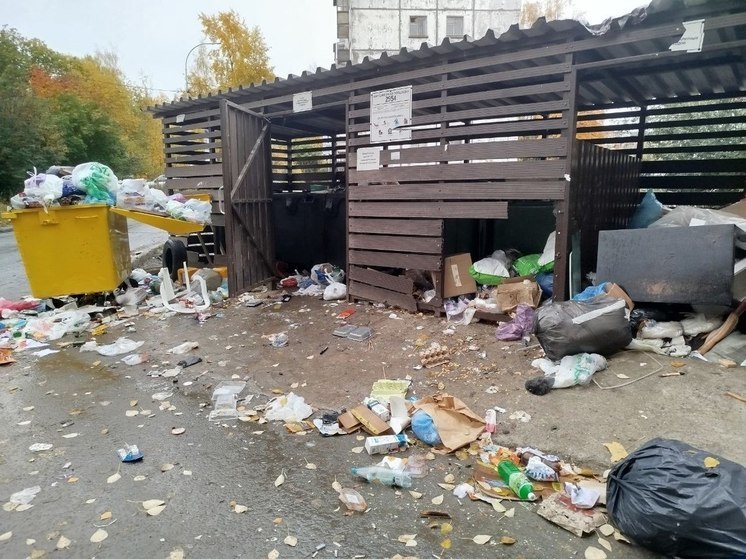 Состояние мусорной площадки на Станционной возмутило жителей Петрозаводска