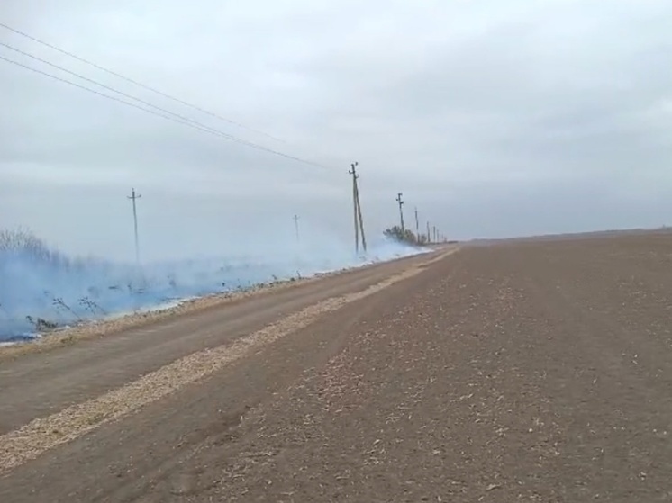 В Азовском районе полыхает ландшафтный пожар