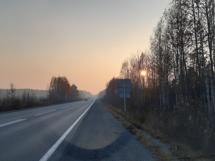 Большегруз перевернулся на трассе в Курганской области