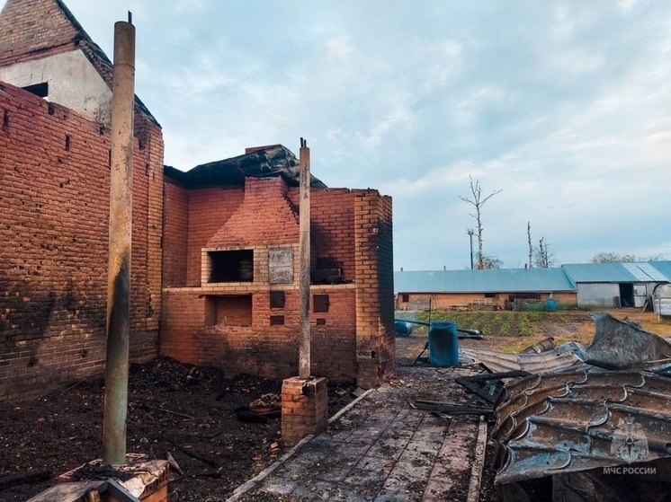 Дом, баня и автомобиль УАЗ горели в городе Асино Томской области