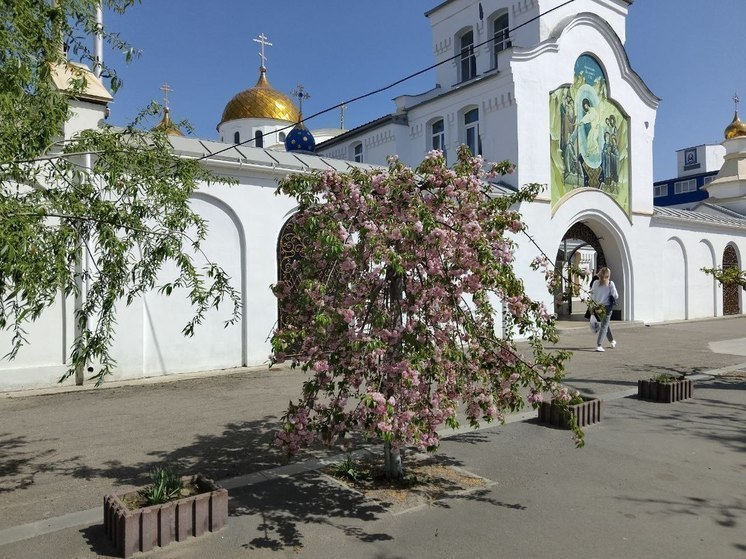 Запорожский губернатор Балицкий поздравил христиан с Покровом Пресвятой Богородицы