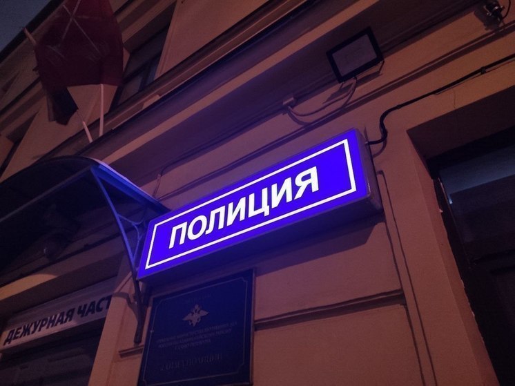 Четыре человека получили ножевые ранения в ходе массовой драки в Петербурге