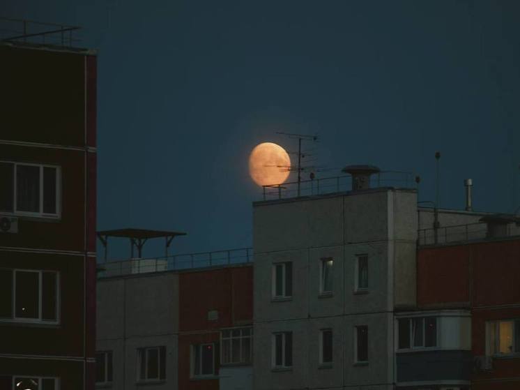 Охотничью Луну смогут увидеть туляки на этой неделе