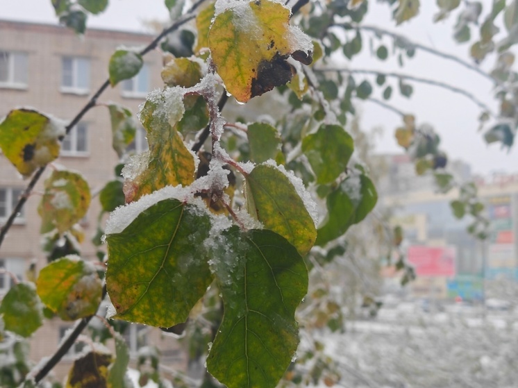 Непогода со снегом движется на Вологодчину