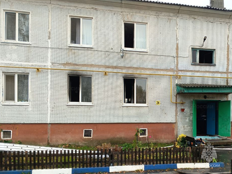 Брянские спасатели потушили пожар в поселке Дубровка