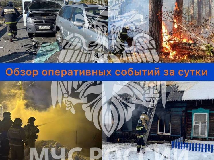 Пензенские пожарные ликвидировали за сутки 10 возгораний