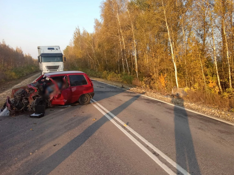 «ВАЗ» столкнулся с автомобилем LADA XRAY на трассе Тула – Белев