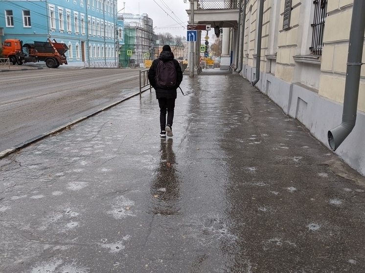 Ледяной дождь, мокрый снег и сильный ветер ожидаются в Рязанской области