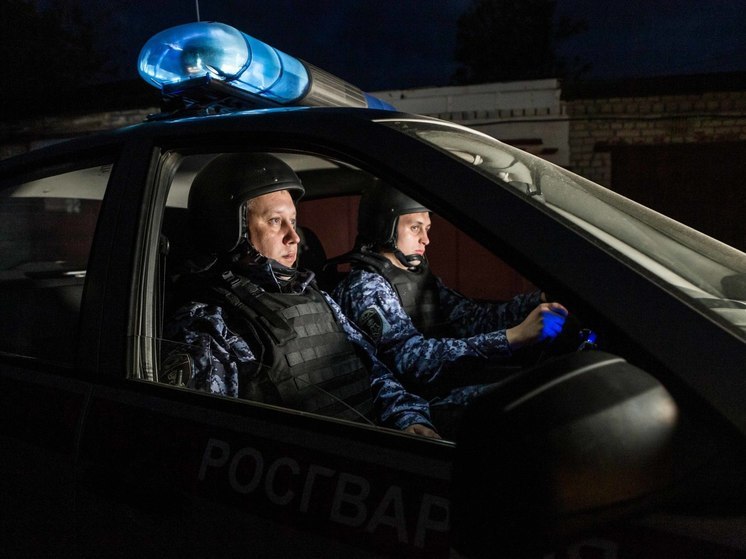 В Рязани пьяный мужчина угрожал работнику магазина страйкбольным пистолетом