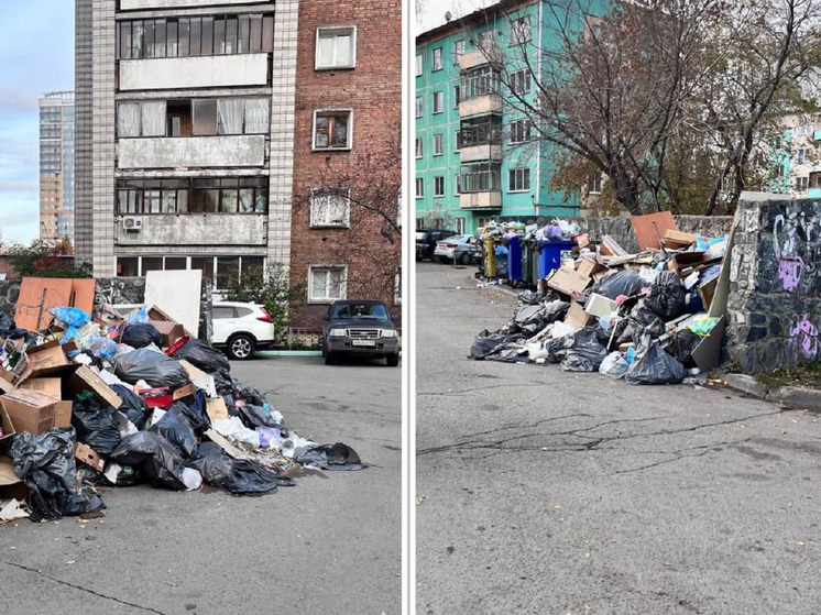 В Новосибирске прокуратура призвала МУП «САХ» навести порядок с вывозом мусора