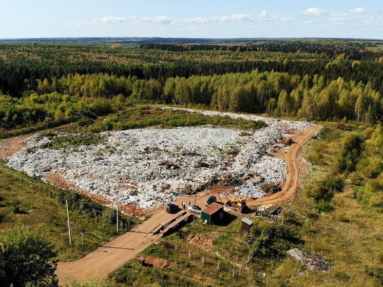 Росприроднадзор внепланово проверит Богородский полигон после пожара