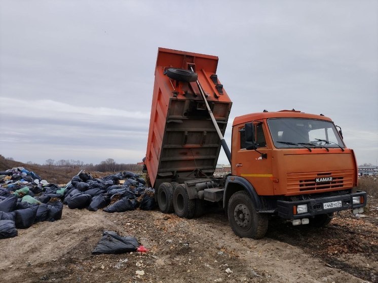 В Новосибирске вывезли 800 кубометров старых автопокрышек на переработку