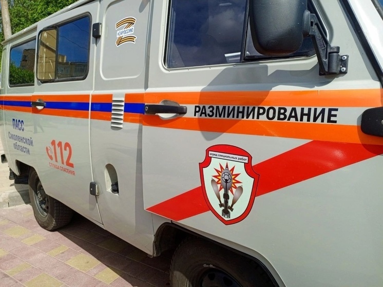 Под Ельней саперы обезвредили стокилограммовую авиабомбу