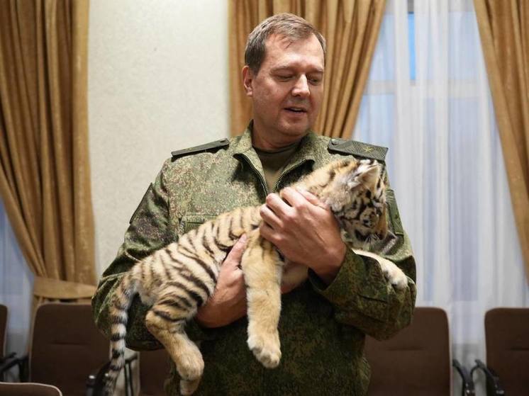 Евгений Балицкий с рабочим визитом посетил прифронтовую Васильевку