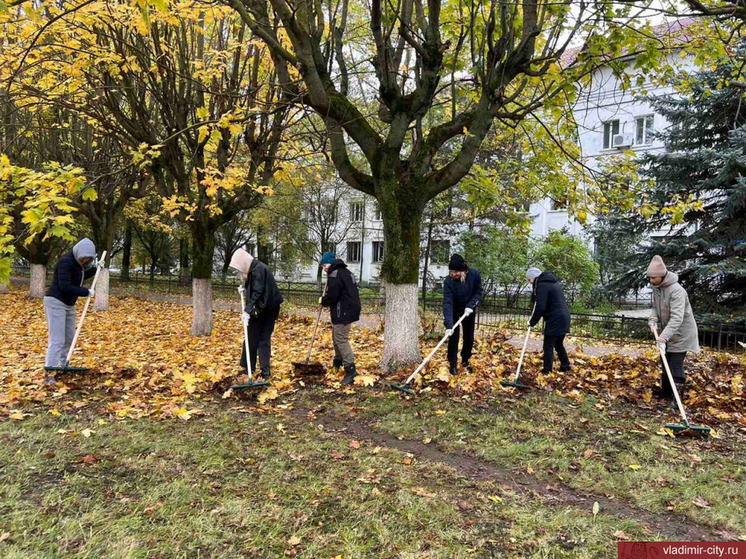 Во время городского субботника во Владимире собрали 250 тонн мусора