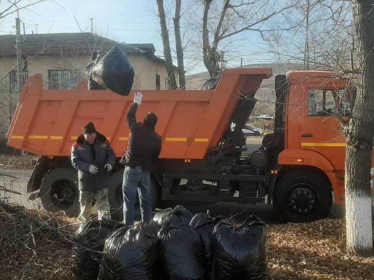 Общегородской субботник проведут 19 октября в Чите