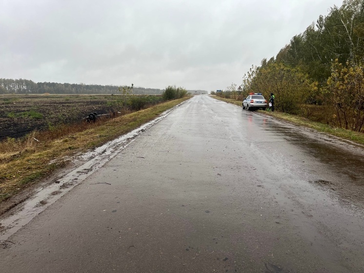 В Орловской области из-за непогоды автоледи слетела с дороги в кювет