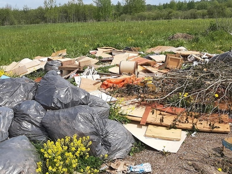 В Псковской области нашли новые незаконные свалки