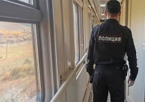 Транспортные полицейские составили административный протокол на жителя Иркутской области, который опоздал в Чите на поезд и ехал на автосцепке вагона