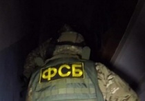 Сотрудники Управления ФСБ по Смоленской области пресекли деятельность уроженца Украины, призывавшего к убийству российских и белорусских военных. Отмечается, что мужчина был задержан, и в отношении него было возбуждено уголовное дело. Об этом сообщает ТАСС со ссылкой на пресс-службу УФСБ. 