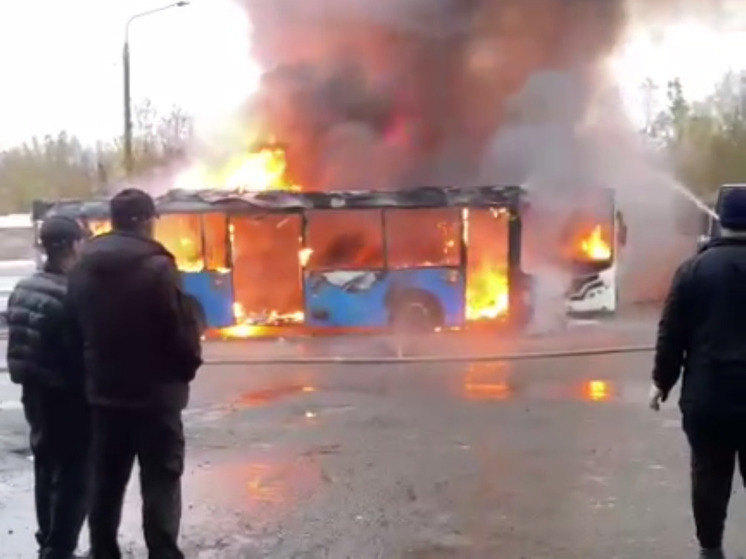 Пассажирские автобусы загорелись в автопарке Видного