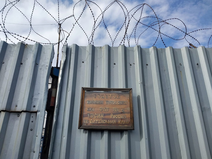 «По ту сторону изгороди»: в Рубцовске студенты-юристы «отбыли» практику в колонии-поселении