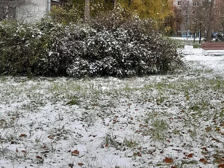 В Новгородской области вечером 14 октября выпал первый снег