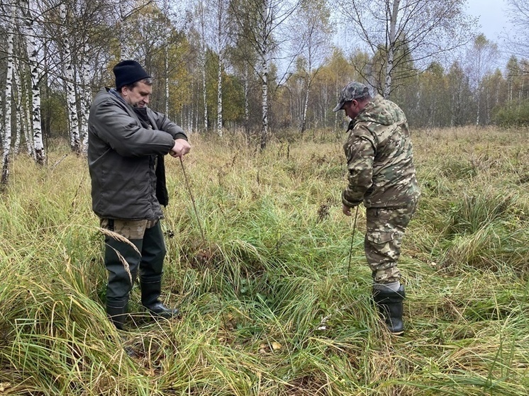 В Тверской области нашли останки четырех бойцов, имена которых никогда не узнают