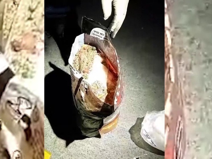 Наркокурьеров с 6 кг метадона поймали пензенские полицейские