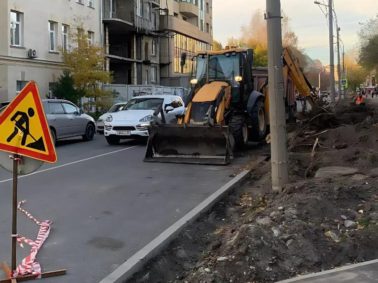 Новосибирцы написали коллективную жалобу в прокуратуру из-за вырубки деревьев на Урицкого