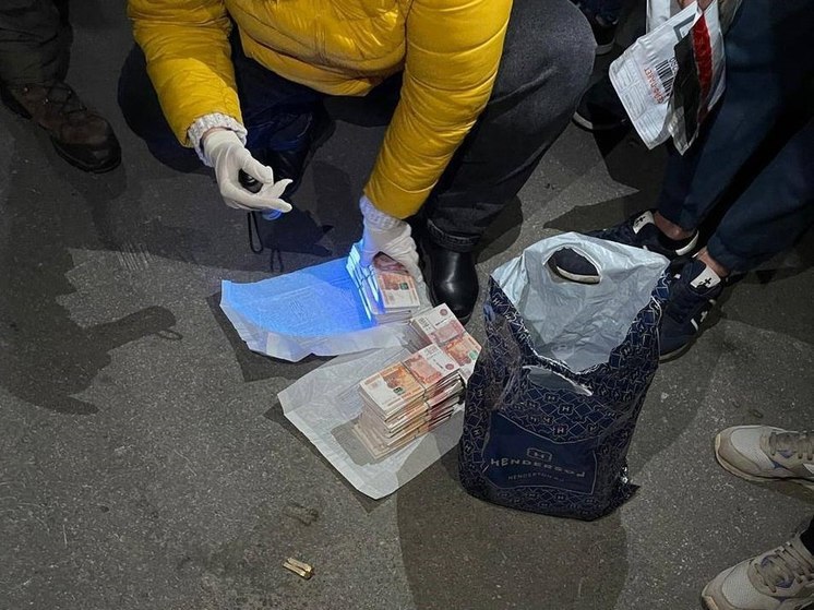 Полиция показала кадры задержания рязанского экс-министра Василевского