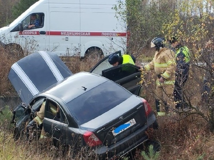 В Пронском районе произошло ДТП с пострадавшими