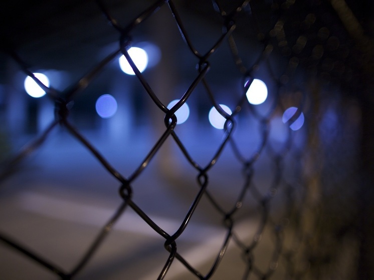 Правительство Украины предлагает ненадолго отпускать заключенных из тюрьмы