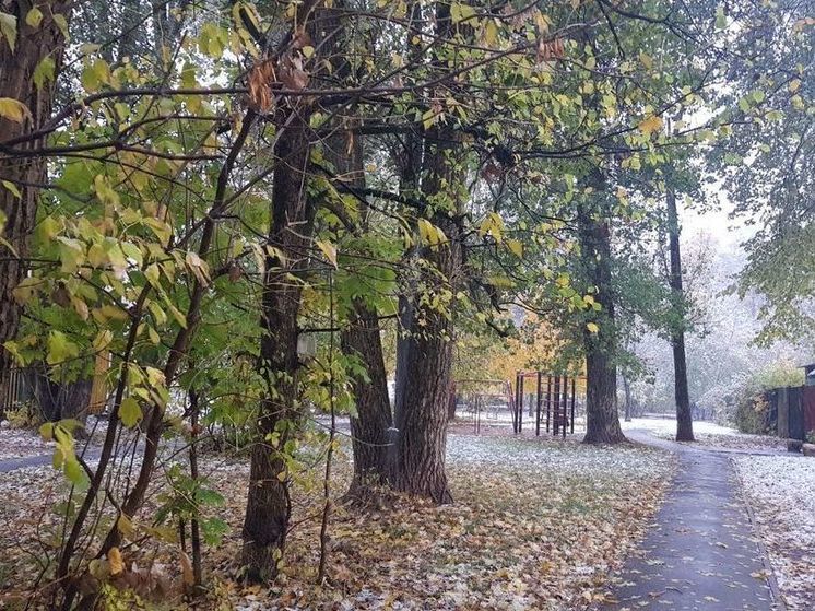 К выходным в Подмосковье потеплеет до +10°