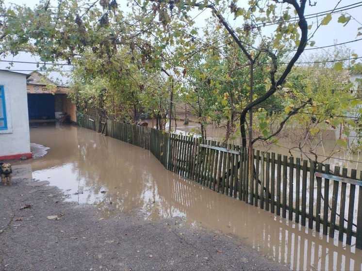 Вода в деревне Отрадовка собрана, остальное уходит естественным образом