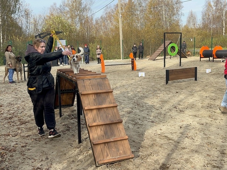 В Ярославской области открыли еще одну площадку для собак