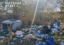 Жительница Читы запечатлела на видео выгрузку строительного мусора из КамАЗа на берегу озера Кенон