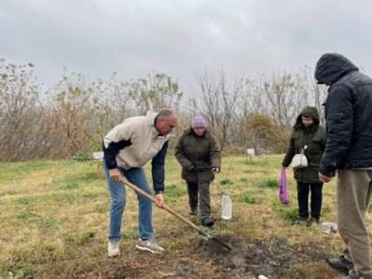 В Ливнах посадили дерево в память о бойце СВО Антоне Дорофееве