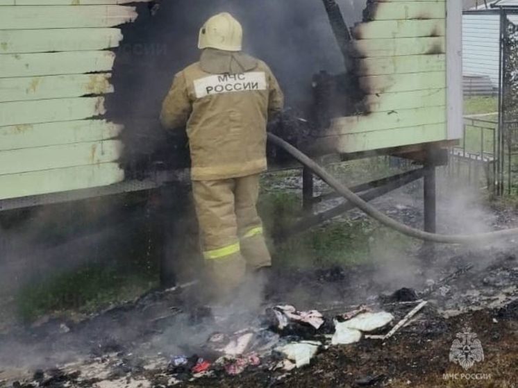 В Жукове сгорела хозпостройка