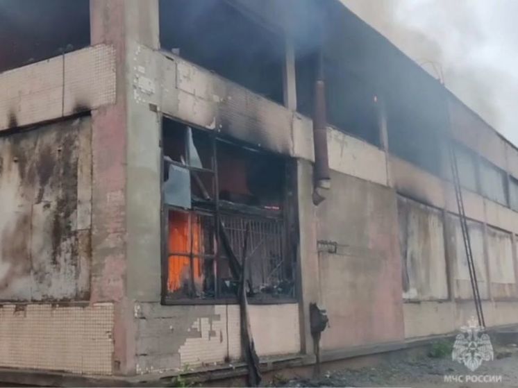 В подмосковной Балашихе сегодня вспыхнул пожар