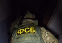 Сотрудники Управления ФСБ по Самарской области задержали жительницу региона 2003 года рождения, совершившую по заданию Киева поджог вышки сотовой связи и планировавшую поджог релейного шкафа у железнодорожной станции. Об этом сообщает ТАСС со ссылкой на областное УФСБ.