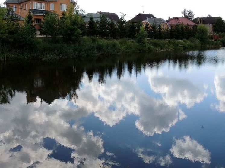 В пруду Домодедова нашли тело пожилой женщины