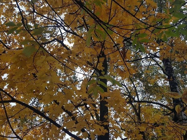 Сегодня в Подмосковье последний на этой неделе день с дождями