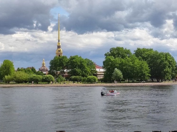 На Кронверкской набережной подстрелили жителя Владимирской области