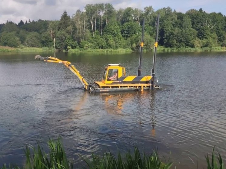 Жителям Подмосковья предлагают выбрать водоемы для очистки